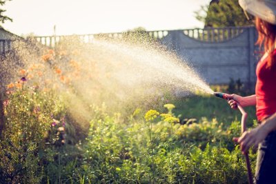 Watering