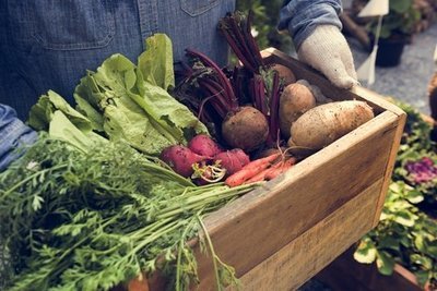 Farm shop