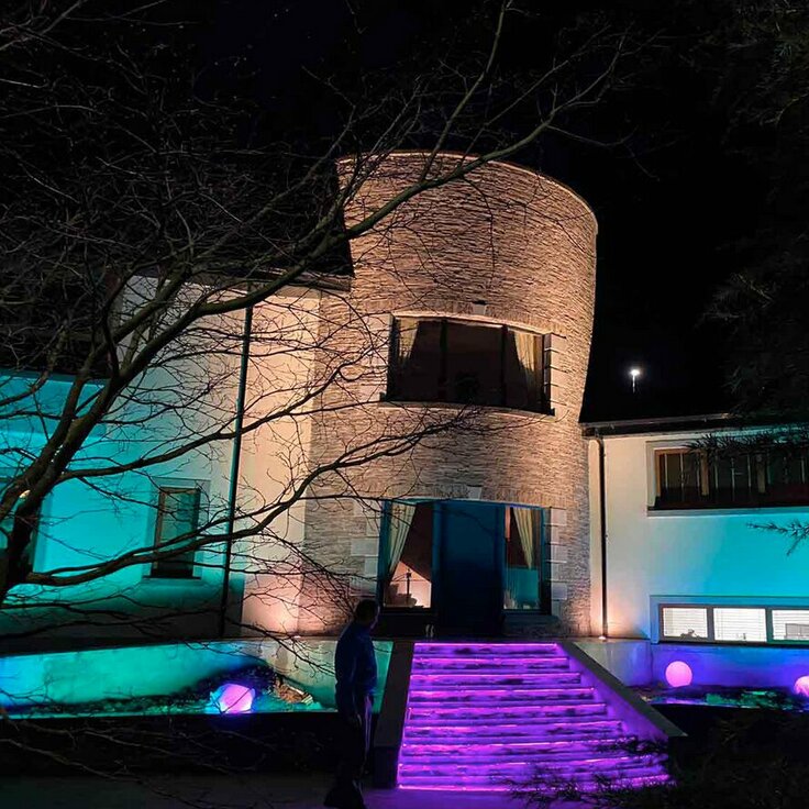 Expert Guide: The Role of Professional Consulting When Buying LED Lighting Online (Home & Living)