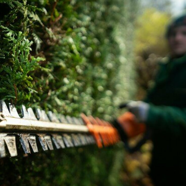 How Social Media Is Inspiring a New Generation of Gardeners (Garden Tools)