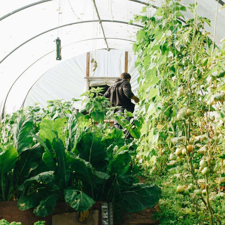 Smart Gardening in 2025: Tech Tools That Help You Relax More and Work Less (Gardening)