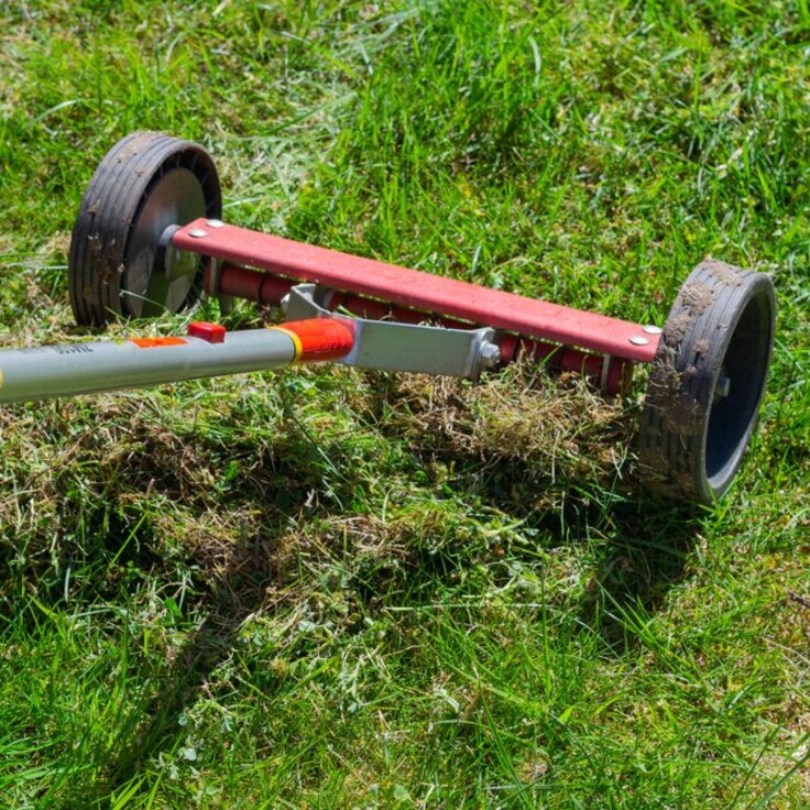 Verticutting the Lawn: How and When? (Gardening)