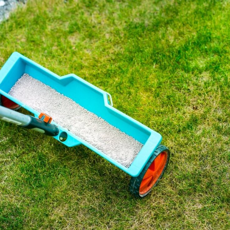 Organic Fertiliser for Your Lawn: How and When to Use It? (Gardening)
