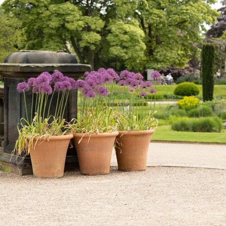 A Tribute to the Timeless Terracotta Flower Pot (Pottery, Pots and Planters)