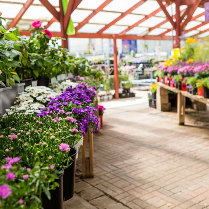 Essential Steps for Launching Your Gardening Business in Ireland: A Professional Guide