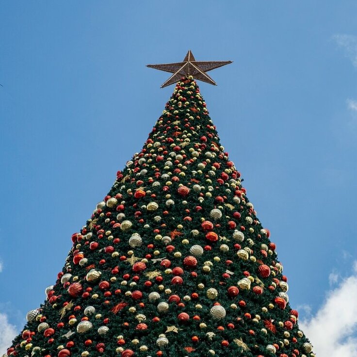 Guiding Light: The Christmas Star for Your Tree (Christmas)
