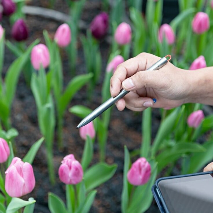 How to Start a Gardening Business: Steps for Growing Your Venture (Top Garden Centres in Ireland)