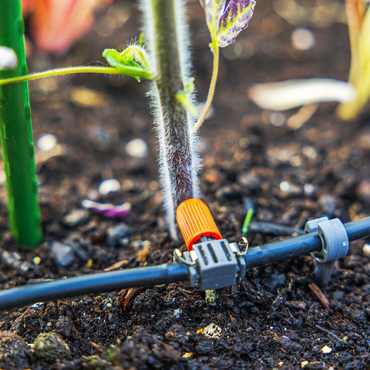 Smart Gardening in Ireland: How Technology is Redefining Our Outdoor Spaces (Gardening)