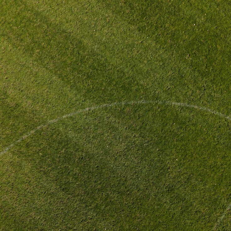 What does your garden have in common with Tallaght Stadium? (Gardening)